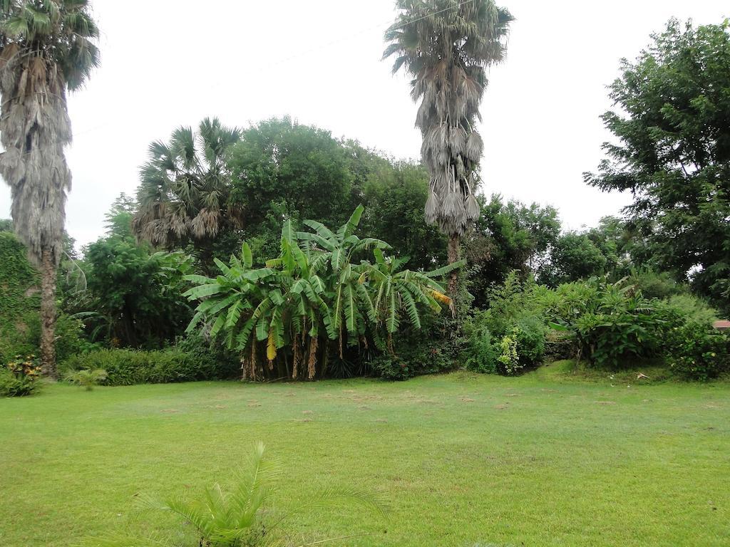 El Molino Hotel Boutique Río Verde Exteriör bild