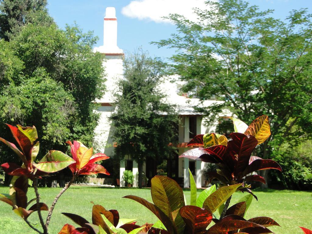 El Molino Hotel Boutique Río Verde Exteriör bild