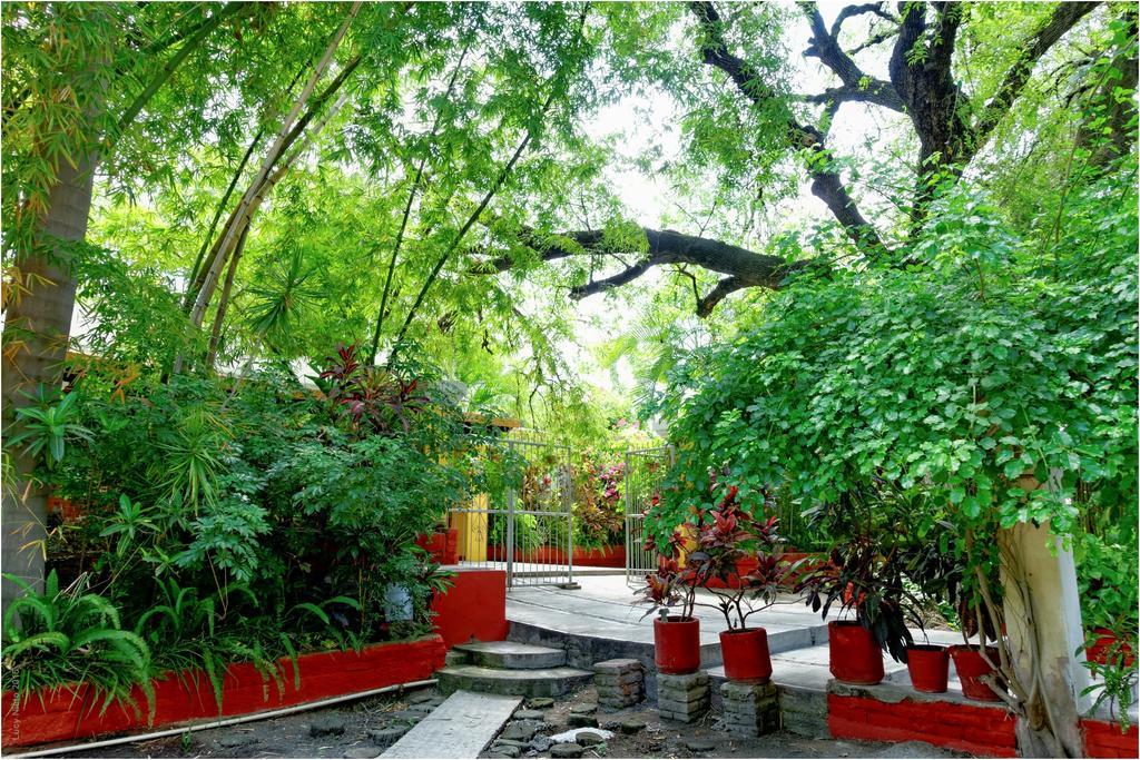 El Molino Hotel Boutique Río Verde Exteriör bild